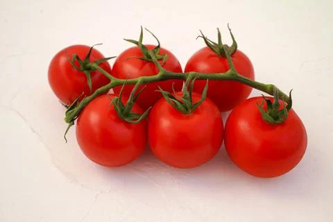 Red tomatoes on a vine Stock Photos