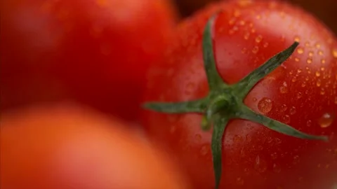 Red Tomatoes with water drops Stock Footage 138982206