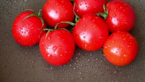 Red tomatoes with water drops Stock Footage 142532446