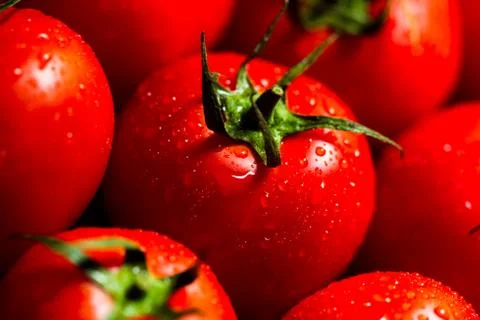 Red tomatoes with water drops Stock Photos