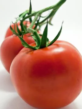 Red tomatoes on white background 库存照片