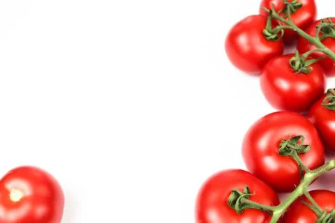 Red tomatoes on white background Stock Photos