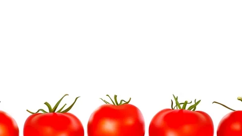 Red tomatoes on white background. Seamless animation with copy space Stock Footage 132735328