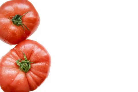 Red tomatoes on a white isolated background Stock Photos