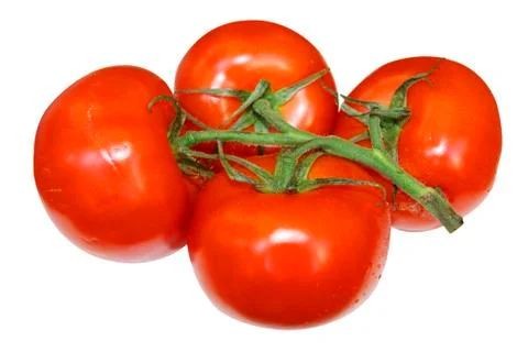 Red tomatoes on white Stock Photos
