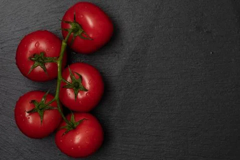 Red tomatos on branch Stock Photos
