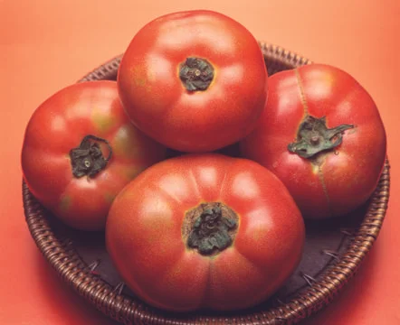 Red tomatos Stock Photos