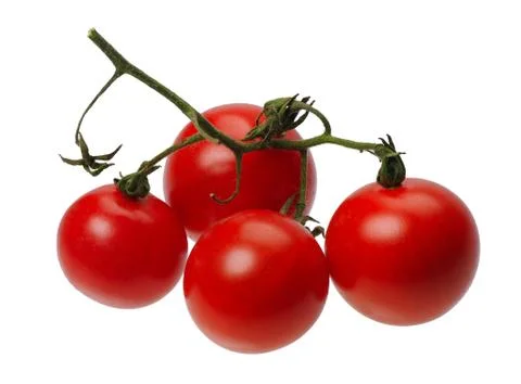 Red tomatto, isolated Stock Photos