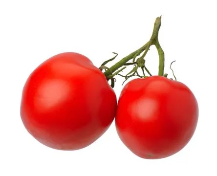 Red tomatto, isolated Stock Photos