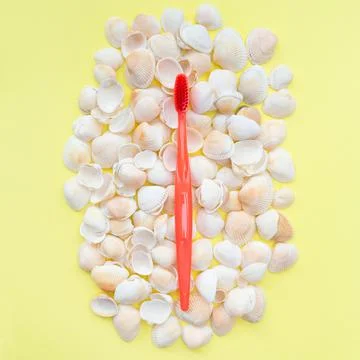 Red toothbrush and seashells. Yellow background. Flat lay. Top view. Benefits of Stock Photos