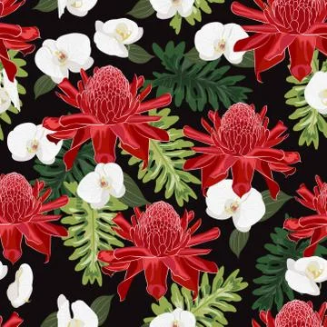 Red torch ginger seamless pattern with white orchid on black background イラスト素材