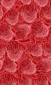 Red torch ginger seamless pattern イラスト素材