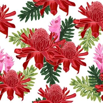 Red torch ginger seamless pattern with tropical leaves on white background Stock Illustration