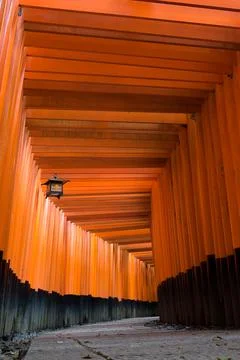 The red torii gates walkway path at fushimi inari taisha shrine Stock Photos