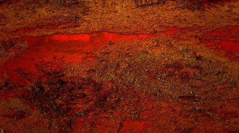 Red toxic canal Stock Footage 567923