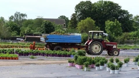 Red tractor with blue trailer parked at a plant nursery on a sunny day Vidéo 343574574