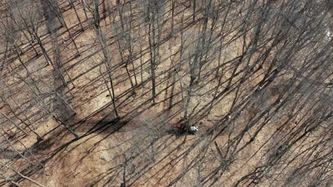 Red Tractor Collecting From Maple Trees in Quebec Canada Aerial Drone Vídeo Stock 151718529