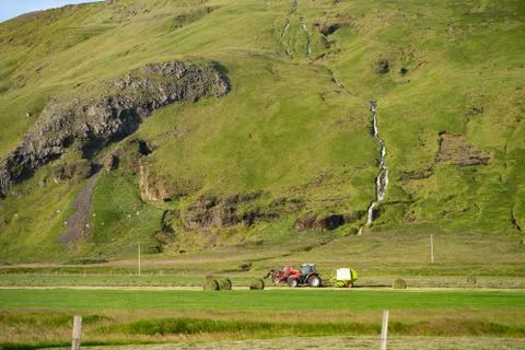 Red Tractor collecting stack of grass on green field with beautiful river going Stock Photos
