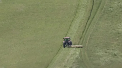 Red tractor cutting fresh green grass on a meadow for hay Stock Footage 318146128
