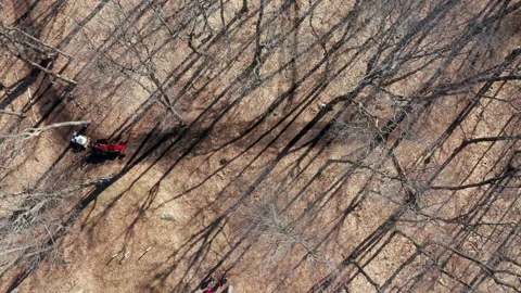 Red Tractor Driving Down Trails Maple Trees For Sugar Shack in Quebec Drone Stock Footage 151833602