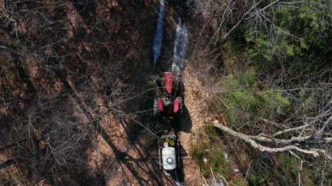 Red Tractor Driving Pulling Wagon Down Trails Collecting Sap From Maple Trees Stock Footage 151685204