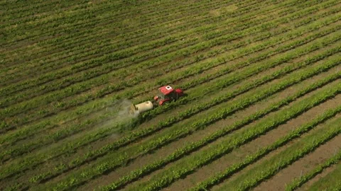 Red tractor driving through the vineyard and spraying it. Irrigation process. Stock Footage 165282934