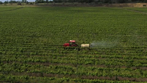 Red tractor driving through the vineyard and spraying it. Irrigation process. Stock Footage 165283071