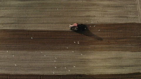 Red tractor with dual wheels doing the processing brown soil with a disc Stock Footage 115251831