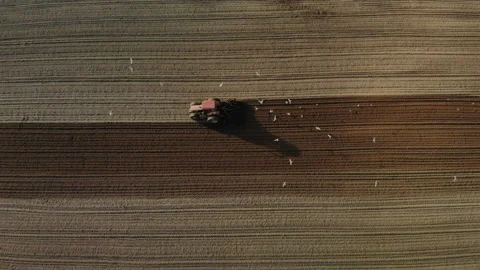 Red tractor with dual wheels doing the processing brown soil with a disc Видео 115323592