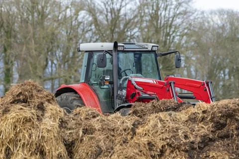 Red tractor with front loader in front of a manure heap Stock Photos