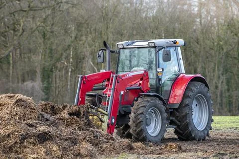 Red tractor with front loader in front of a manure heap Stock Photos