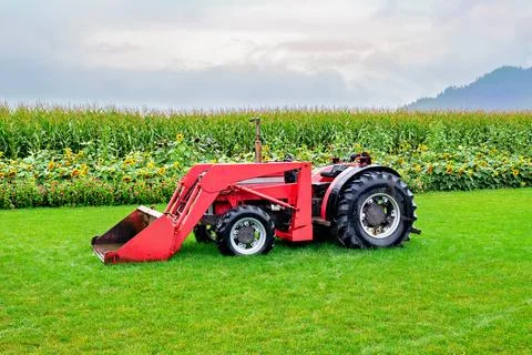 Red tractor with front loading bucket under the rain on green lawn Stock Photos