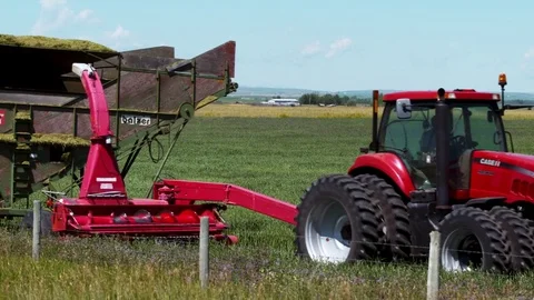 Red tractor harvesting crop Stock Footage 80399818