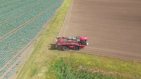 Red tractor moves through green field. Farmer guides machine along neat rows Stock Footage 345668674