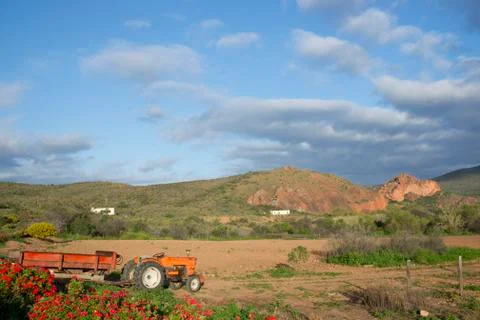 Red Tractor Foto stock