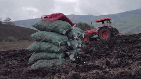Red tractor plowing the earth in a potato field 動画素材 75166876