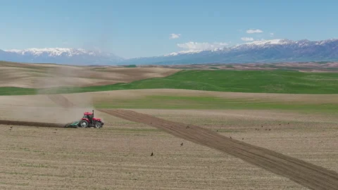 Red tractor plowing field with snowy mountains in background. Video stock 333640079