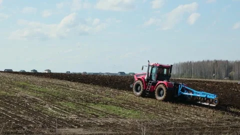 Red tractor plowing field for sowing. Seagull birds fly over the ground Stock Footage 307275267