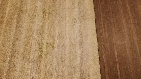 Red tractor plows the ground Stock Footage 123405894