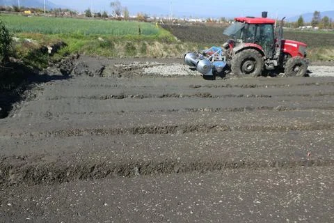 Red tractor preparing raised rows in a muddy field Stockfoto's