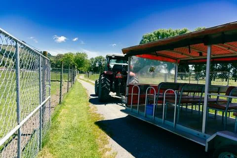 Red Tractor Pulling Empty Farm Tour Wagon Foto stock