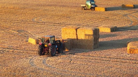 Red tractor stacking hay bales at sunset on Isle of Wight farm Stock Footage 336279115