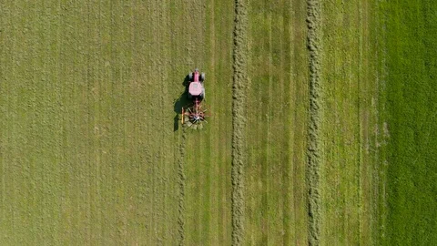 Red tractor windrowing hay, top down aerial view Stock Footage 97149997