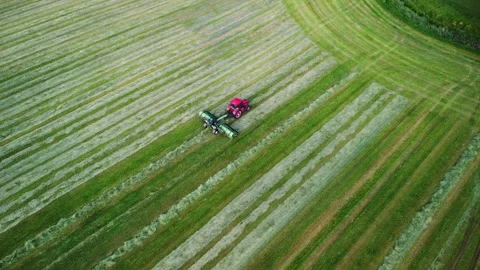 Red tractor working in field, turning and drying mown grass. Aerial view of Stock Footage 314060212