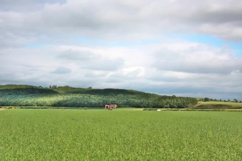 Red tractor in the Yorkshire Fields Stock Photos