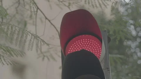 Red Traffic light in Cairo - Egypt Stock Footage 310255131