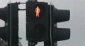 Red traffic light changes to green, allows pedestrians walk. Grant permission 4k or 4k+ Resolution