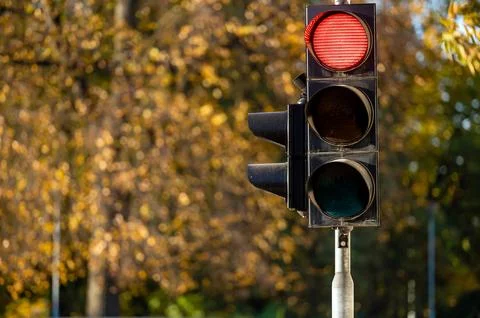 Red traffic light in semaphore closeup. Bright colored autumn background. Stock Photos