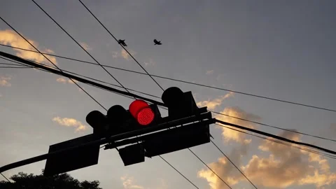 Red traffic lights in the evening atmosphere and birds flying Stock Footage 254932909