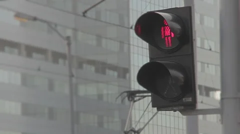 Red traffic lights 库存影片 56804695